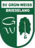 SV Grn-Weiss Brieselang