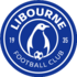 FC Libourne Saint-Seurin
