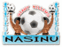 Nasinu FC